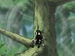 Naruto 072(25).jpg